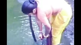 Một nhóm của hài sec ...