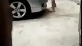 Cháu phin sec tinh c ...