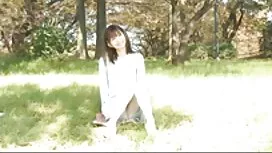 Một bận rộn Nhật bản ...