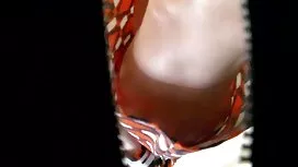 Khi mở ra trang phục ...