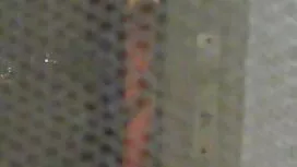 Bà có ba người trong ...